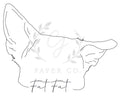 Custom Pet Sticker